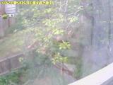 Preview Wetter Webcam Redditch 