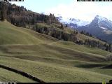 meteo Webcam Diemtigen (Wiriehorn, Grimmialp, Naturpark Diemtigtal)